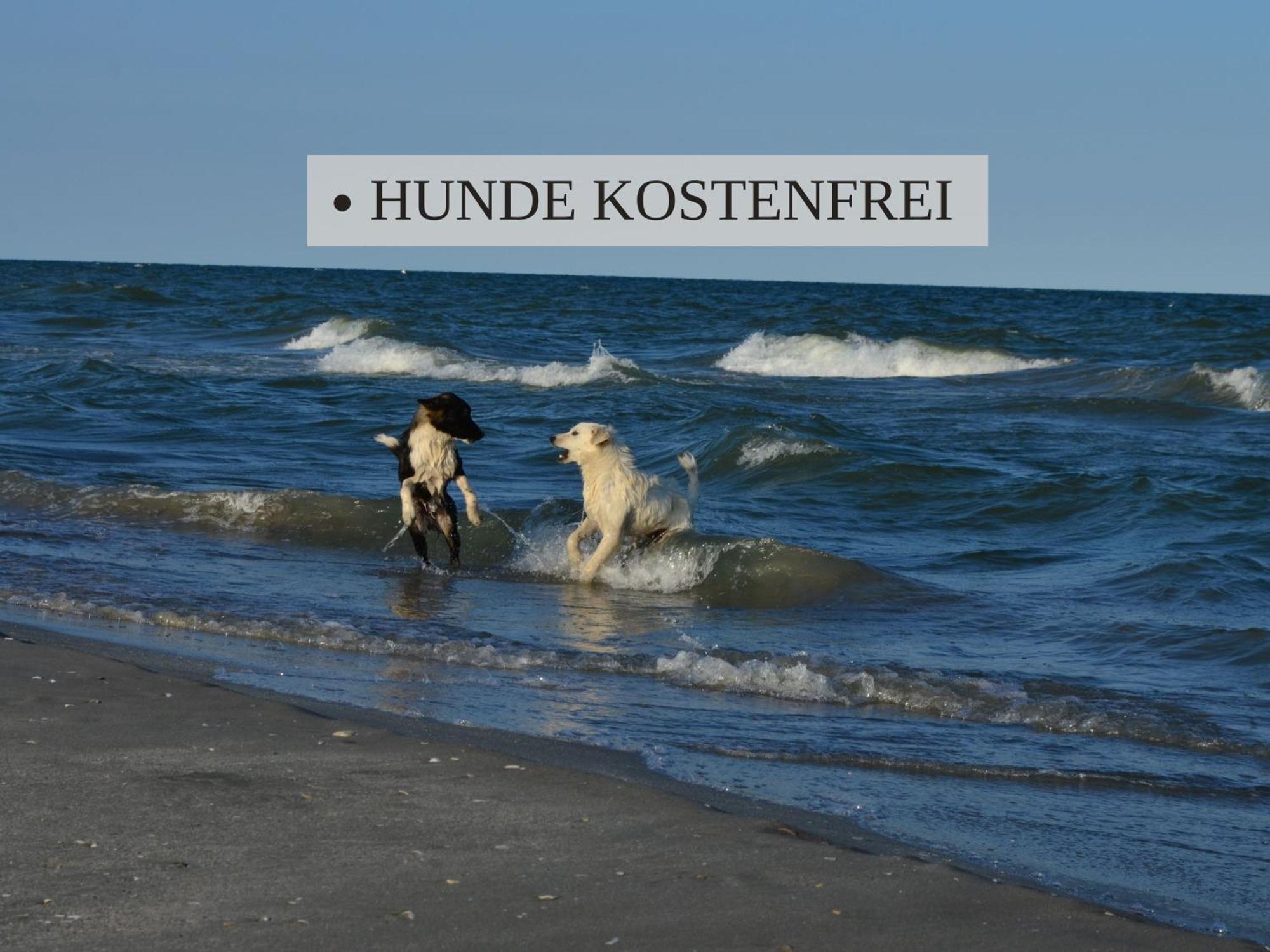 Haus Krabbe Apartments, Zentral Gelegen Im Idyllischen Nordseeort Zwischen Bremerhaven Und Cuxhaven, Hunde Kostenfrei Willkommen, Hauseigene Kostenfreie Parkplaetze Wremen Bagian luar foto